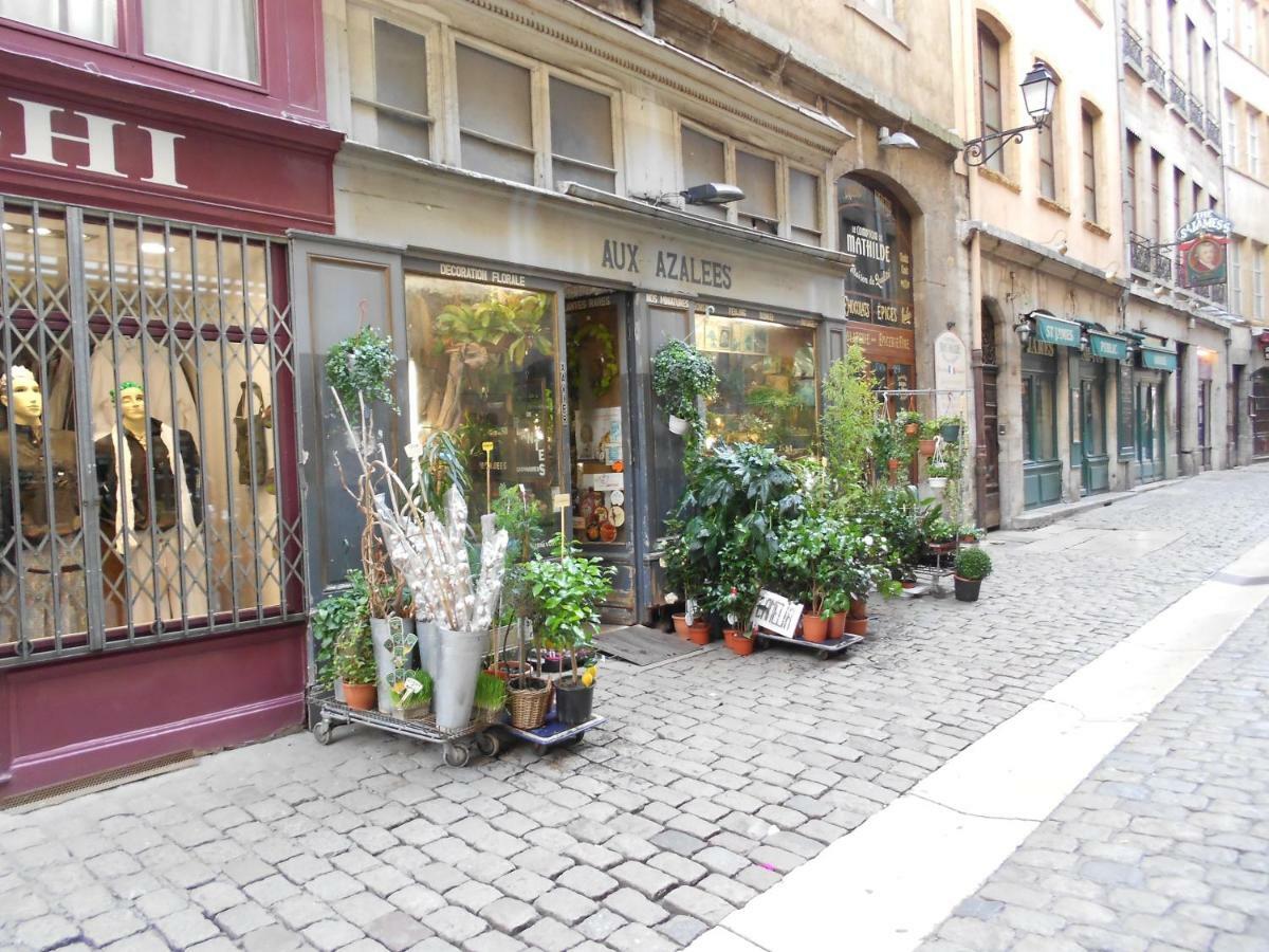 Gite Du Vieux リヨン エクステリア 写真